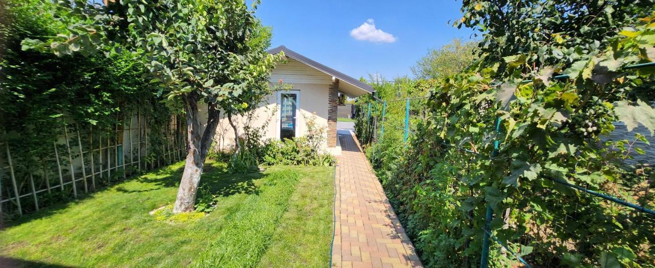 Morii Lake Pool Villa บูคาเรสต์ ภายนอก รูปภาพ